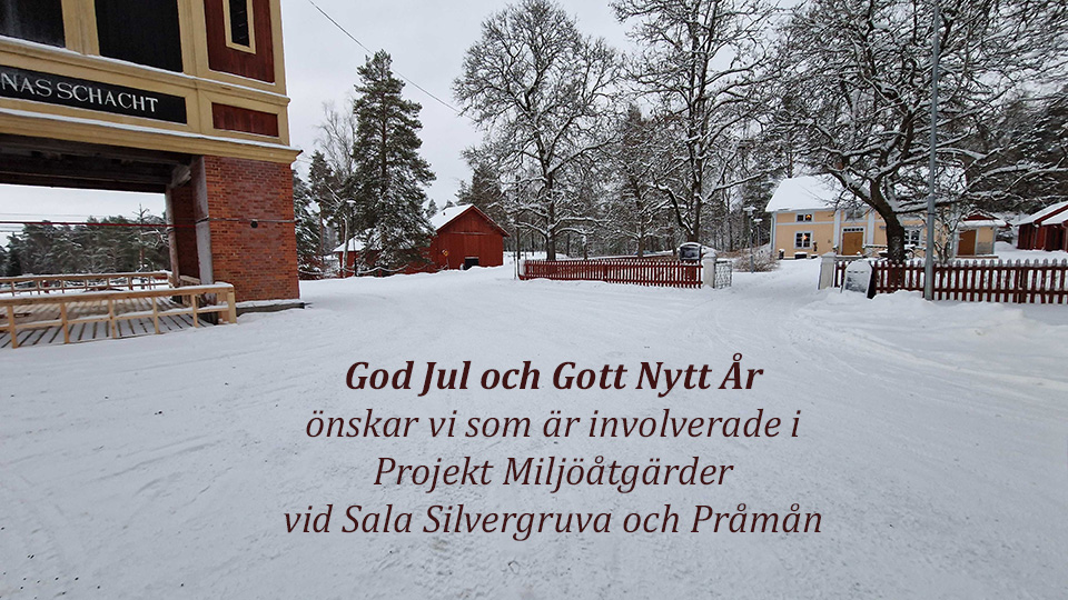 Bild på Drottning Christinas schakt i vinterskrud, julhälsning från projektet: God Jul och Gott Nytt år